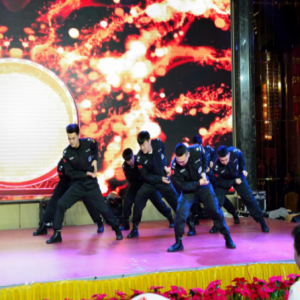 佳兆业·东戴河佳族会2019兑现幸福春节联欢晚会浓情上演