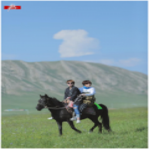 《我家那小子》收视十连冠 武艺家庭为爱而改变