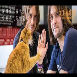 电影《流浪猫鲍勃》热映圈粉无数 用爱点燃美好生活