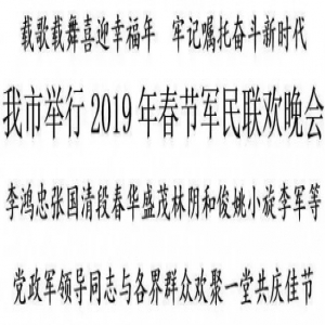 天津市举行2019年春节军民联欢晚会