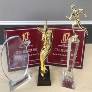 中国信息技术服务标准化十周年 神州信息揽获五大重量级奖项