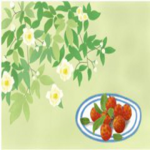 6月当季水果有哪些？汤臣倍健多种维生素矿物质片发来当季水果攻略！