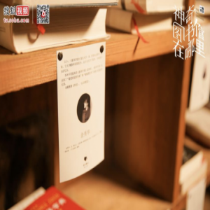 只卖两本书却成为网红打卡圣地 本周神奇图书馆走进“两本书店”