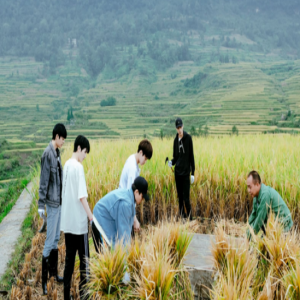 《野生厨房》坤音四子狂飙车 汪涵“拆散”ONER