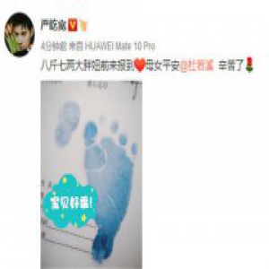 杜若溪产女 严屹宽发微博报喜