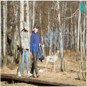 《亲爱的·客栈2》明玉姜梓新埋头干活获赞