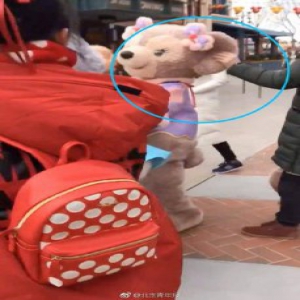 想跑？没这么容易！上海警方介入迪士尼乐园玫玫被拉耳朵事件