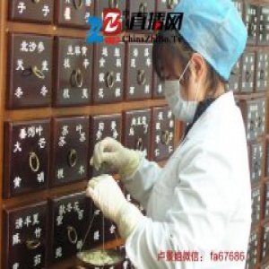 白哥雄挺——感恩报道卢景方法