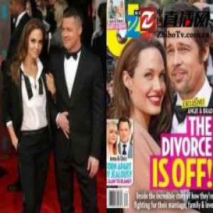 要复合？朱莉和皮特被曝离婚手续停滞不前