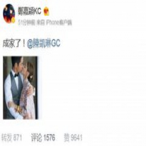 郑嘉颖陈凯琳结婚 相差22岁终修成正果