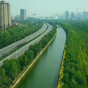 【春天的故事·遇见京津冀】津南“大花园”筑起天津绿色生态屏障