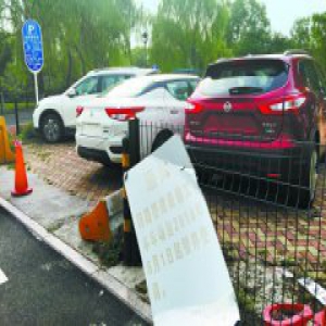去附近公园游玩唯一停车场 为何停满4S店新车