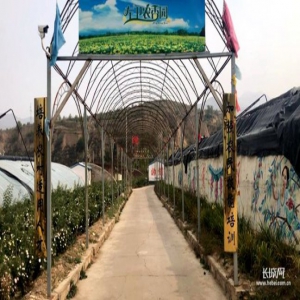 【来自扶贫一线的报告】叶家辛窑：生活像火龙果一样红红火火！