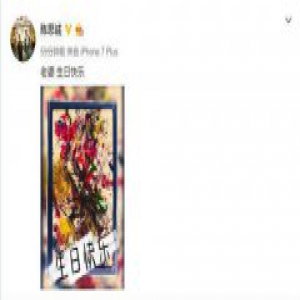 陈思诚庆生佟丽娅 连续多年从未间断