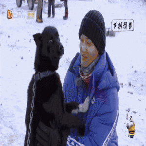 被狗强吻后的黄子韬什么情况？终于真相了，原来是这样！