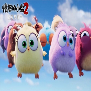 爆笑动画电影《愤怒的小鸟2》上线