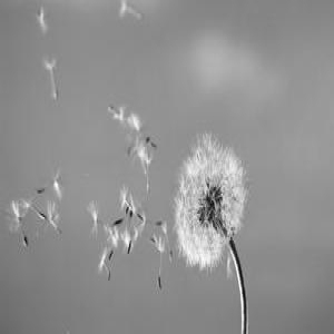 2岁女童死在保姆家中身现多处淤青 母亲失联