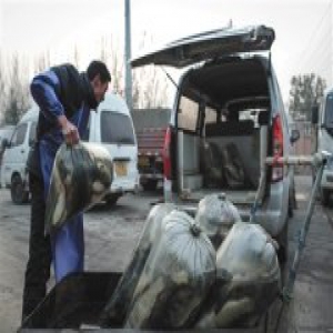 问题水产品溯源追责困境:批发商开收据拒绝签字