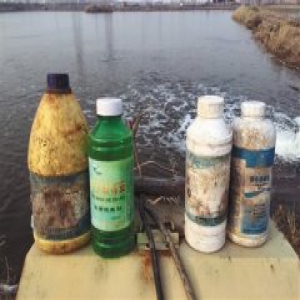 媒体调查小鱼塘兽药乱投放 养殖户不吃自养鱼