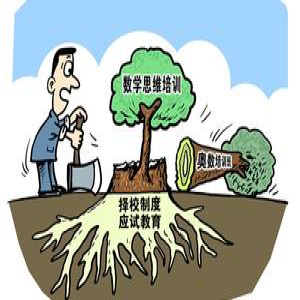 过半受访者认为奥赛成绩仍是名校敲门砖