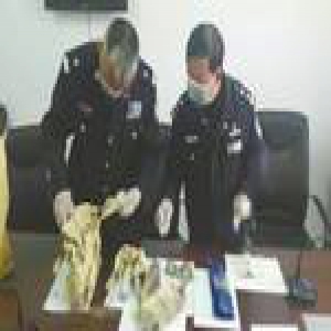 罗布泊发现50多年前地质工作者遗骨 或为四川籍（图）