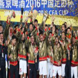 恒大捧起2016足协杯 出自载物3D打印