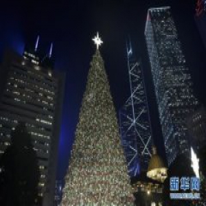 香港巨型圣诞树亮灯（图）