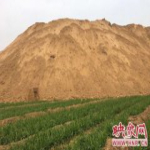 郑州下房土违法毁麦田数十亩，执法局：有协议的地方我们不管