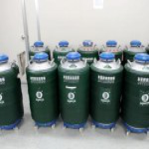 外媒称中国年轻男子精子质量下降 或与污染有关