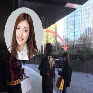 王思聪参加活动忙工作 女宠豆得儿随行小鸟依人