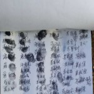 偷狗贼逃跑撞树死亡追赶男子被抓 村民联名求情