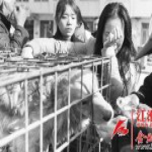 合肥一大爷街头杀狗卖肉 市民众筹救狗