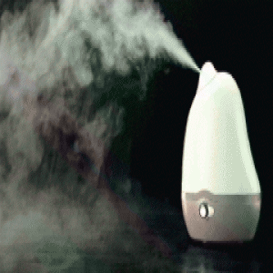 冬天太干，买了加湿器却不会用？美女达人来支招