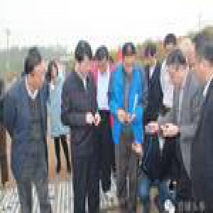 安徽宁国发现5亿吨页岩油储量 价值约1575亿美元