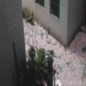 广州一男子清晨坠亡 身旁洒落数十万现金(图)