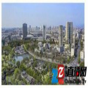 一个成功的平台背后，必然有一个强大的靠山