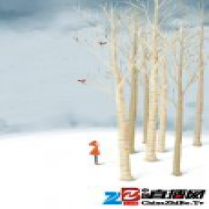 今年的日历越来越薄 明年的日历你选好了吗