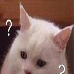 打工小伙梦想30岁前成中国首富 现在被人坑了...