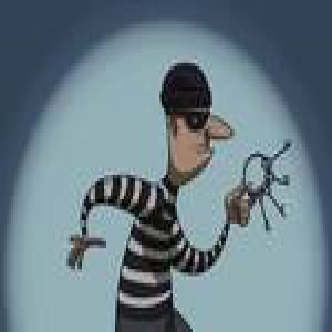 女子抓住小偷报了警 意外牵出男友也是“江洋大盗”