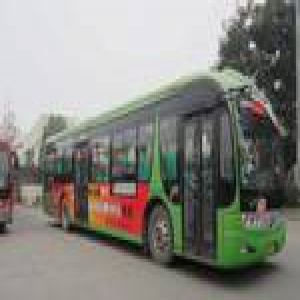 女乘客大喊“有流氓” 黑衣男突然跳窗被司机拉回