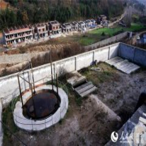 湖北郧阳区充分利用牛粪资源