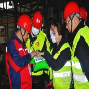 徐州卧牛山水性涂料车间通过“智能示范车间”现场验收