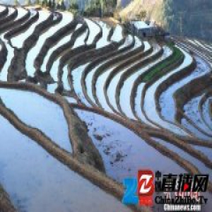 四川米易傈僳族原始古朴民风民俗引外界追捧