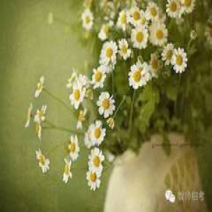 数学教师招考高分复习建议