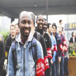 成都老外组队戴红袖章巡逻：8队员来自5国家(图)