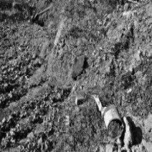 西安村民油菜地挖出男童尸体 警方：排除他杀可能