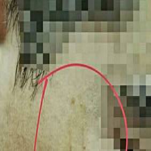 广州：餐馆天降活老鼠 食客脸上留下六七道抓痕(图)