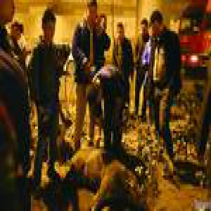 合肥一行政中心惊现野猪 枪击麻醉都没撂倒