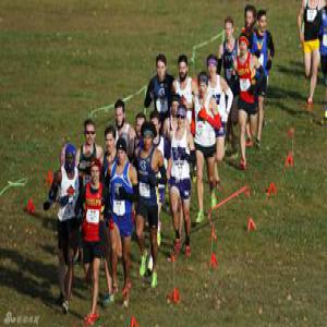 2017高水平运动员招生需参加统一考试