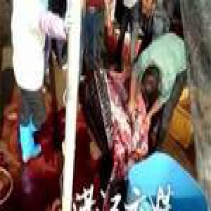 广东省海洋与渔业厅：正调查处理湛江屠宰海龟事件